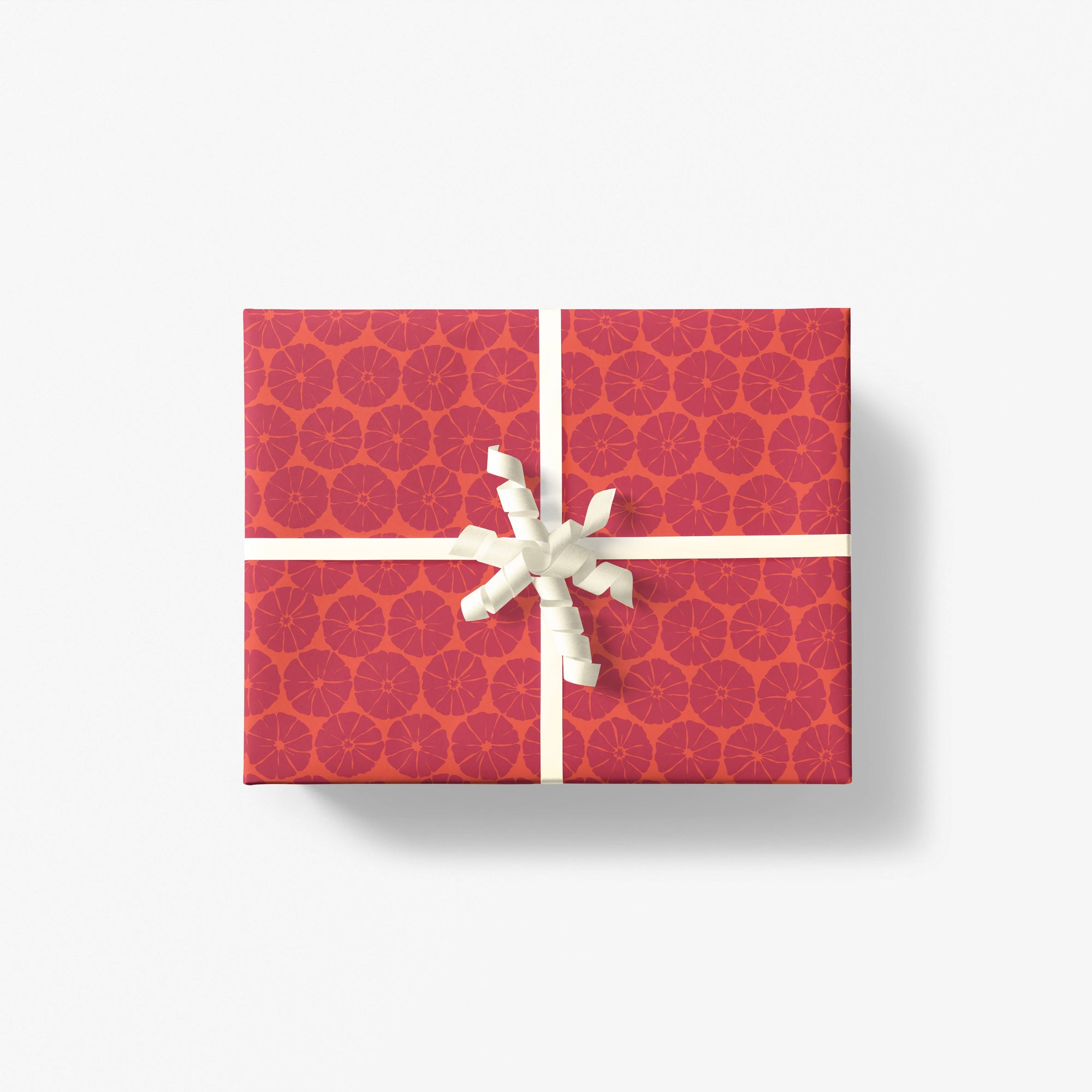 Winter Zest Gift Wrap - Roll of 3 Sheets