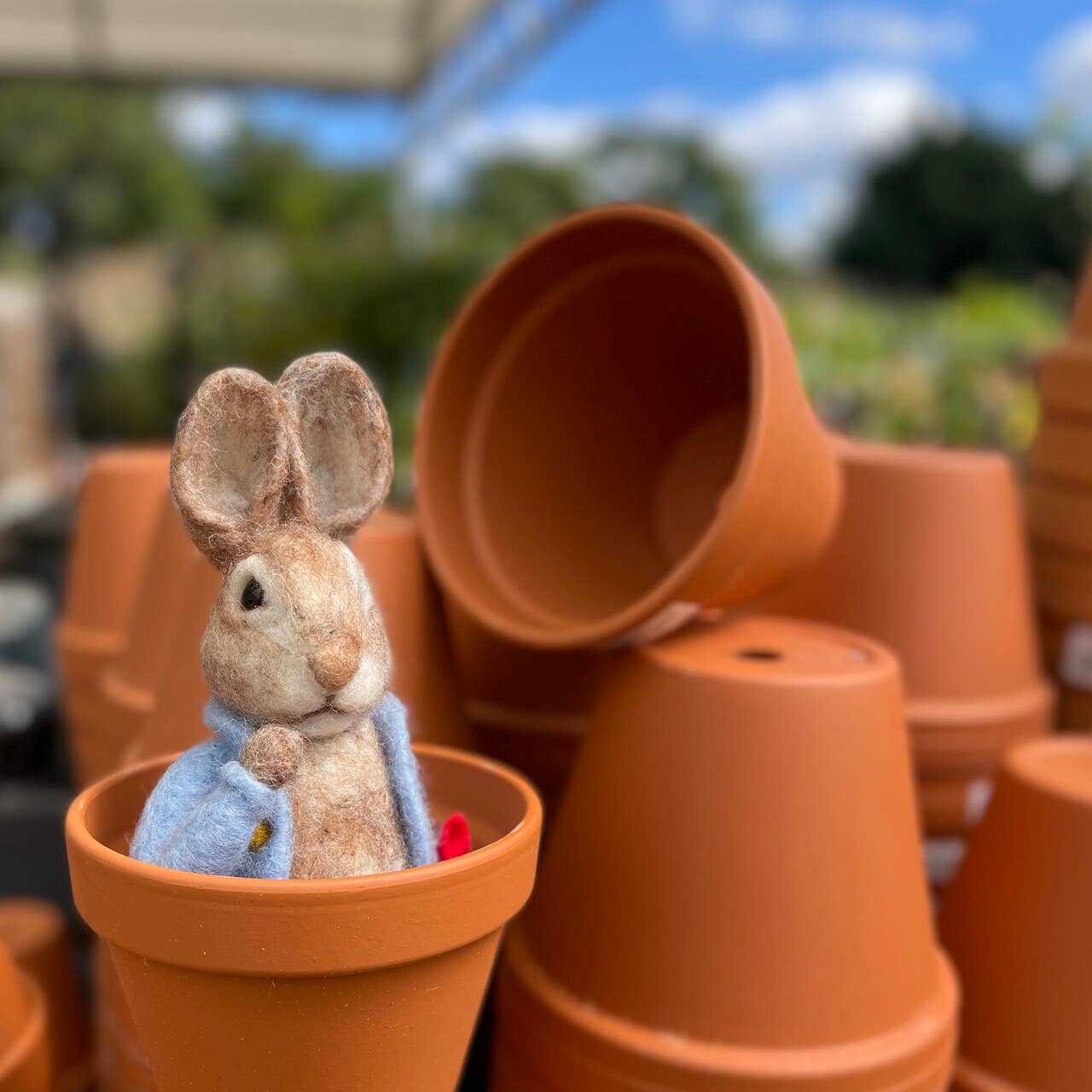 Beatrix Potter - Peter Rabbit and his Pocket Handkerchief