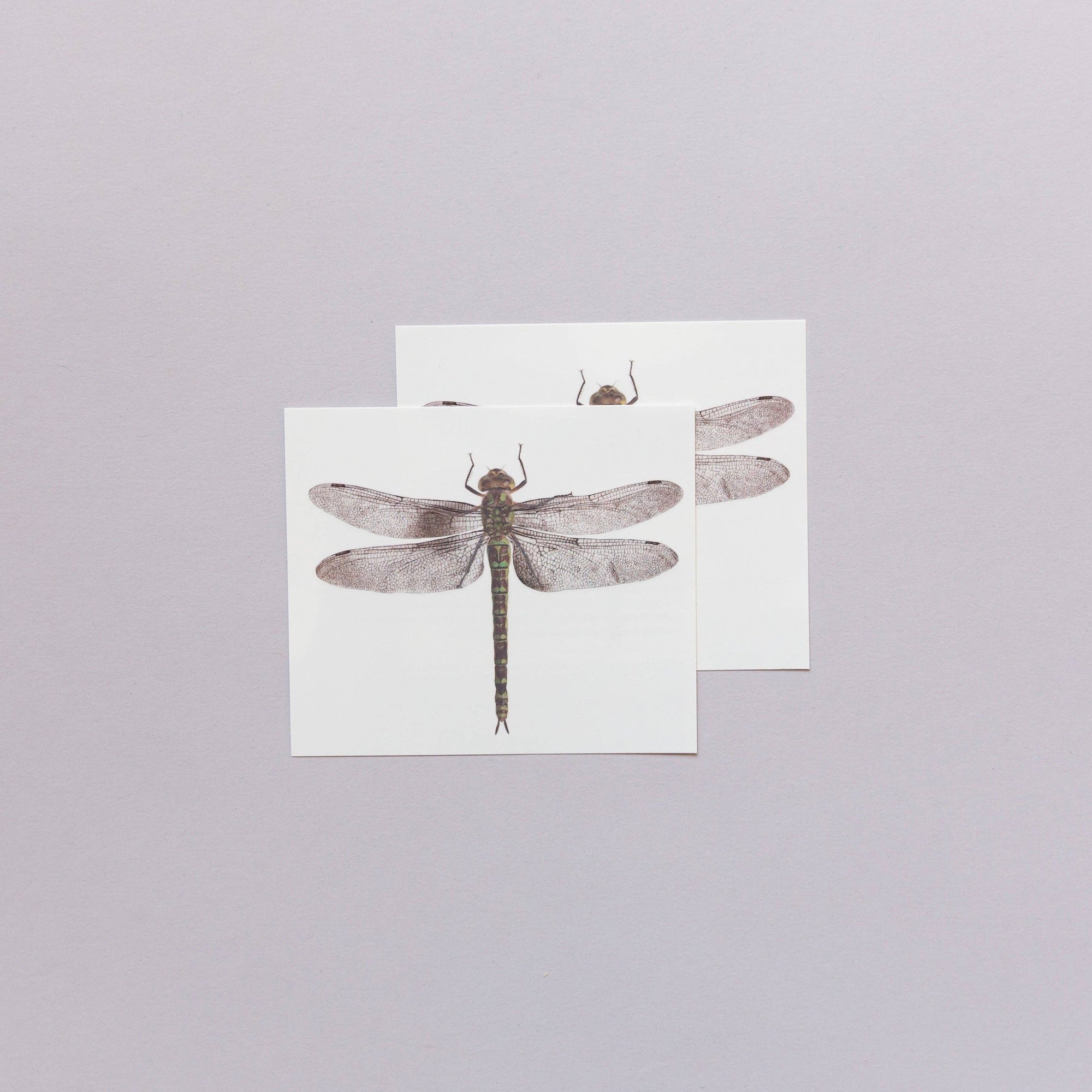 Two tattoo cards with dragonfly designs on a light gray background