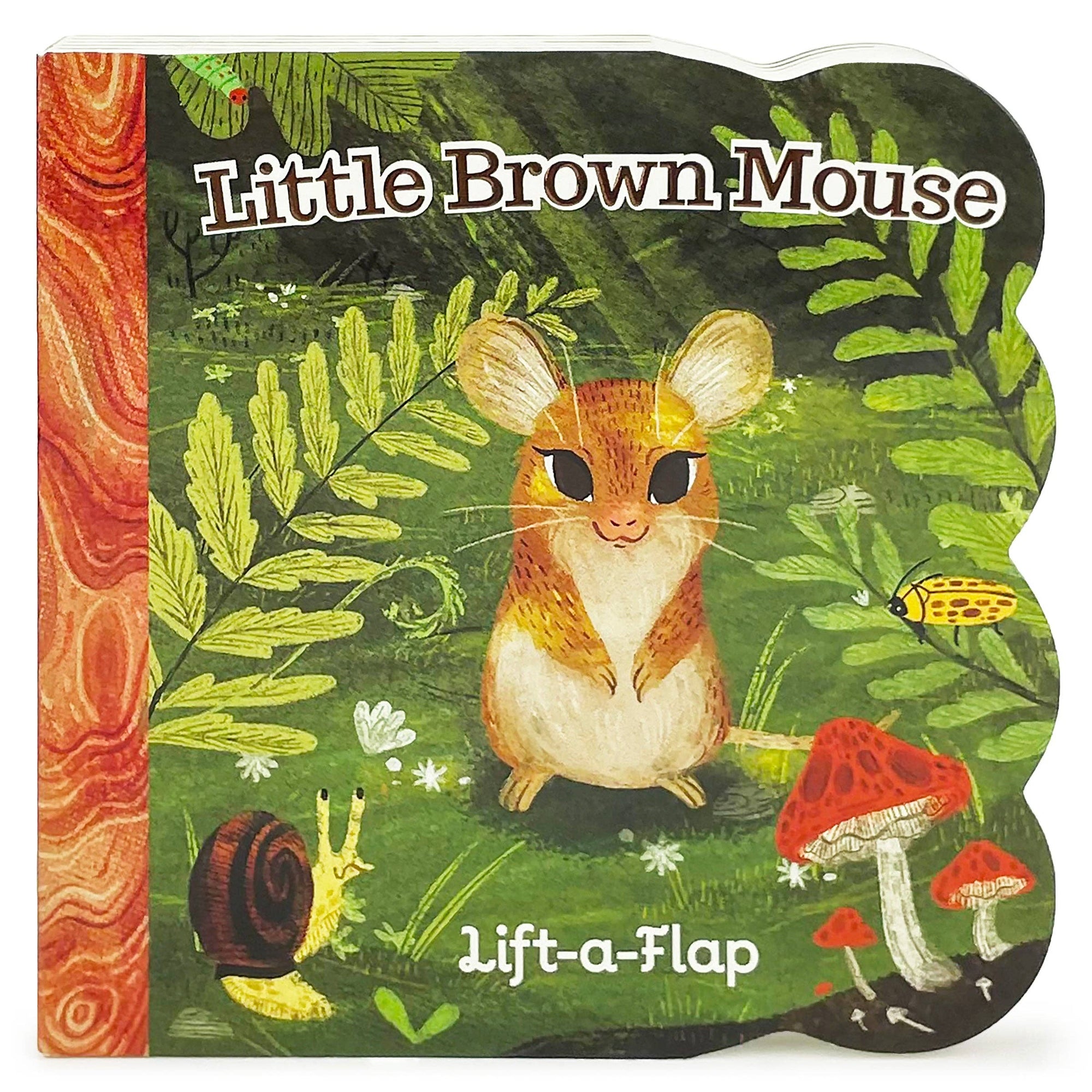 Book cover of 'Little Brown Mouse Lift-a-Flap' with a mouse illustration and nature elements.