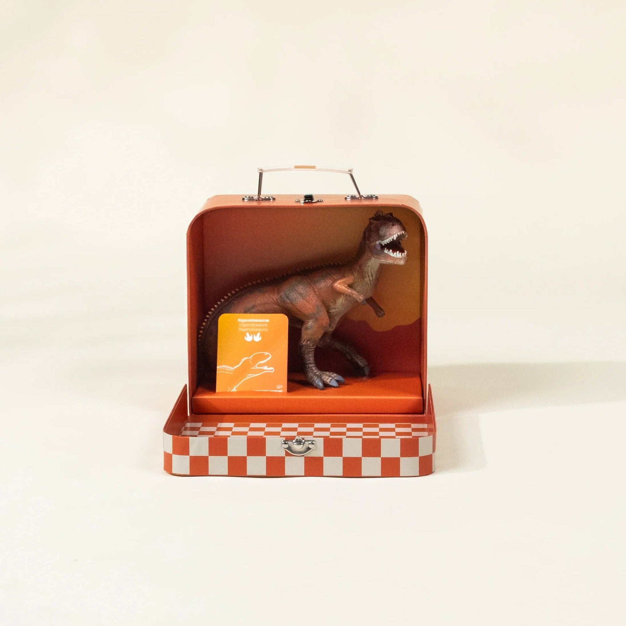 Giganotosaurus Dinosaur in a Collectible Box