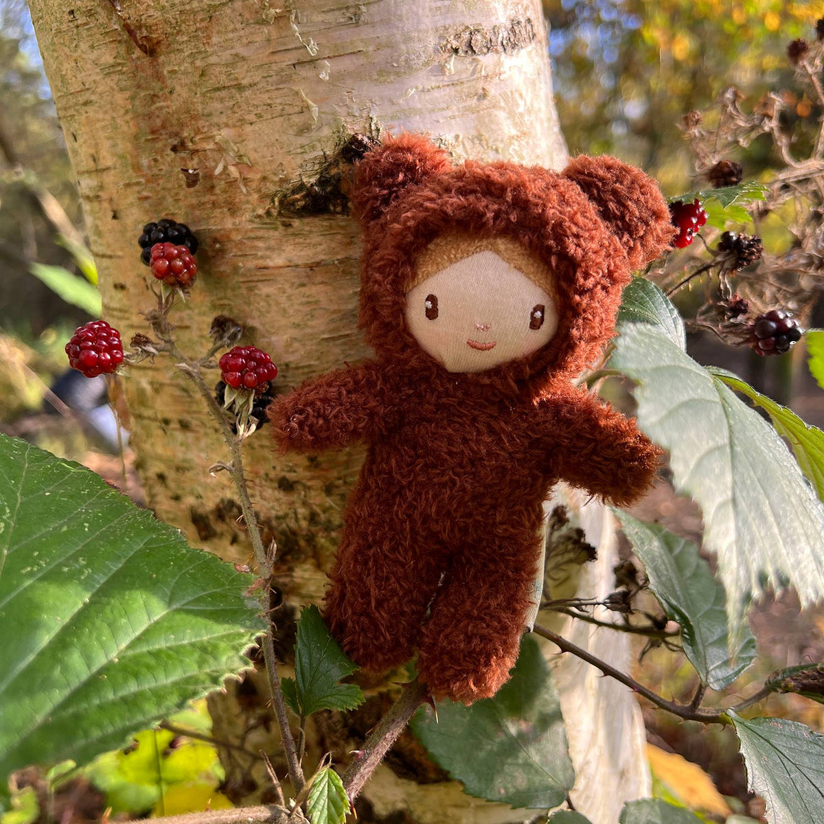 Small brown plush toy with a hood in a natural setting with leaves and berries.