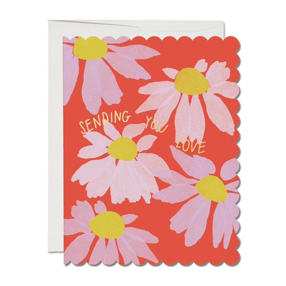 Scalloped Coneflower sympathy card