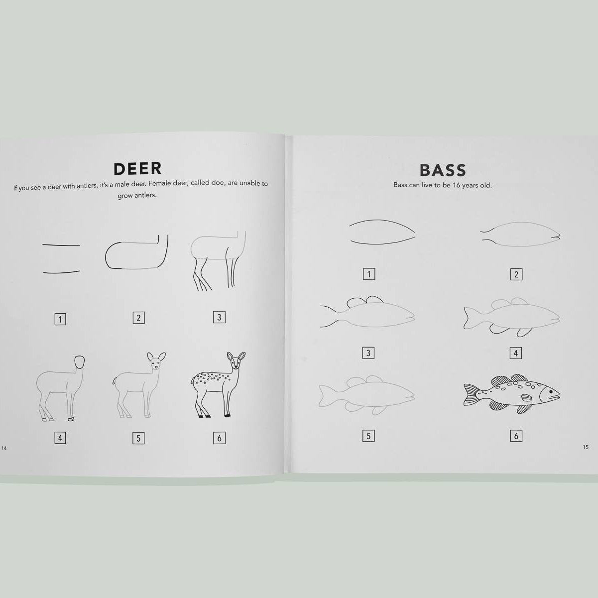 Open book showing illustrations of deer and bass on a light gray background