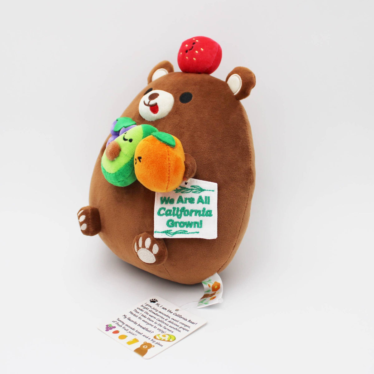 A brown plush bear toy with colorful fruit accessories and a white tag reading 'We Are All California Grown!' on a clean white background.