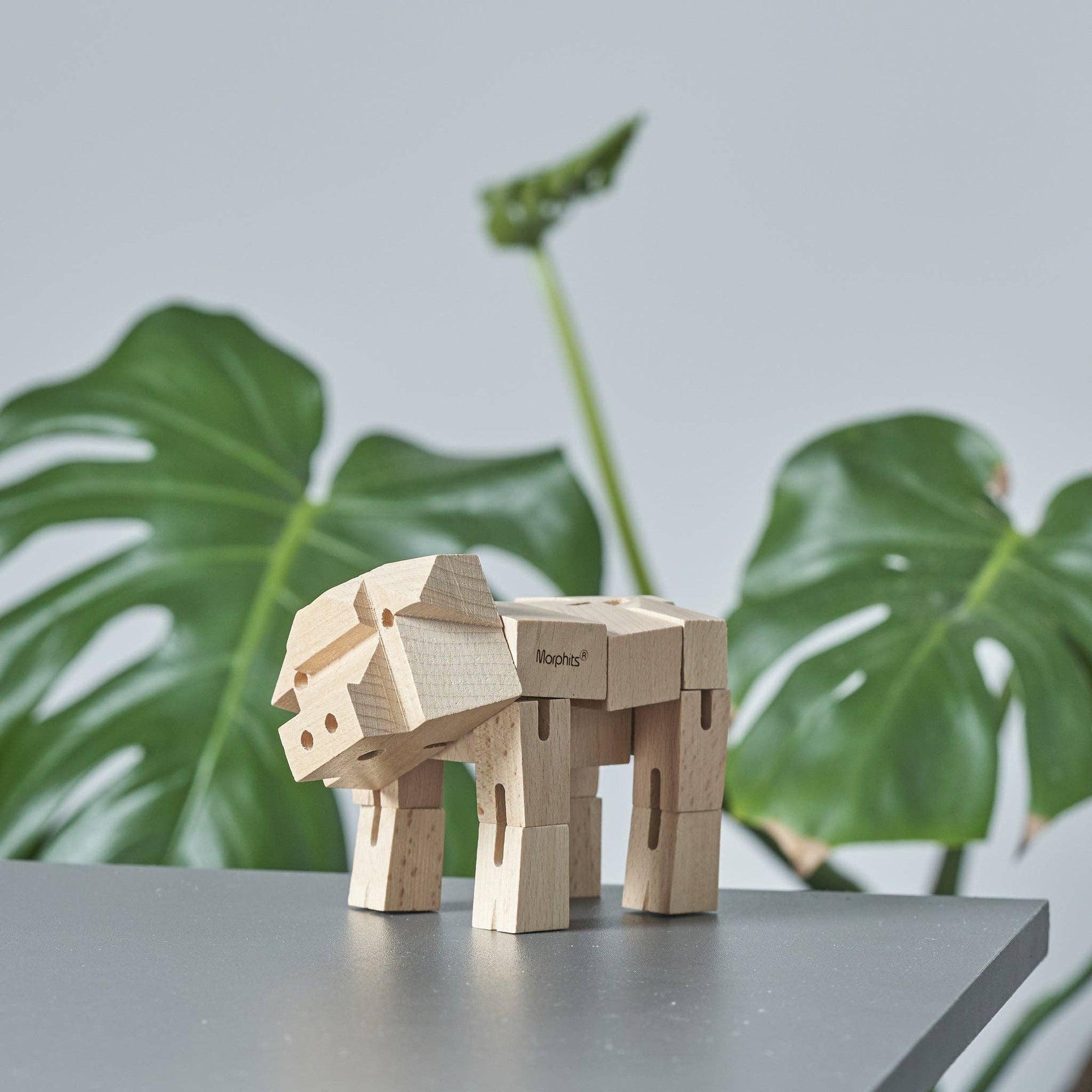 Morphits Pig Wooden Toy