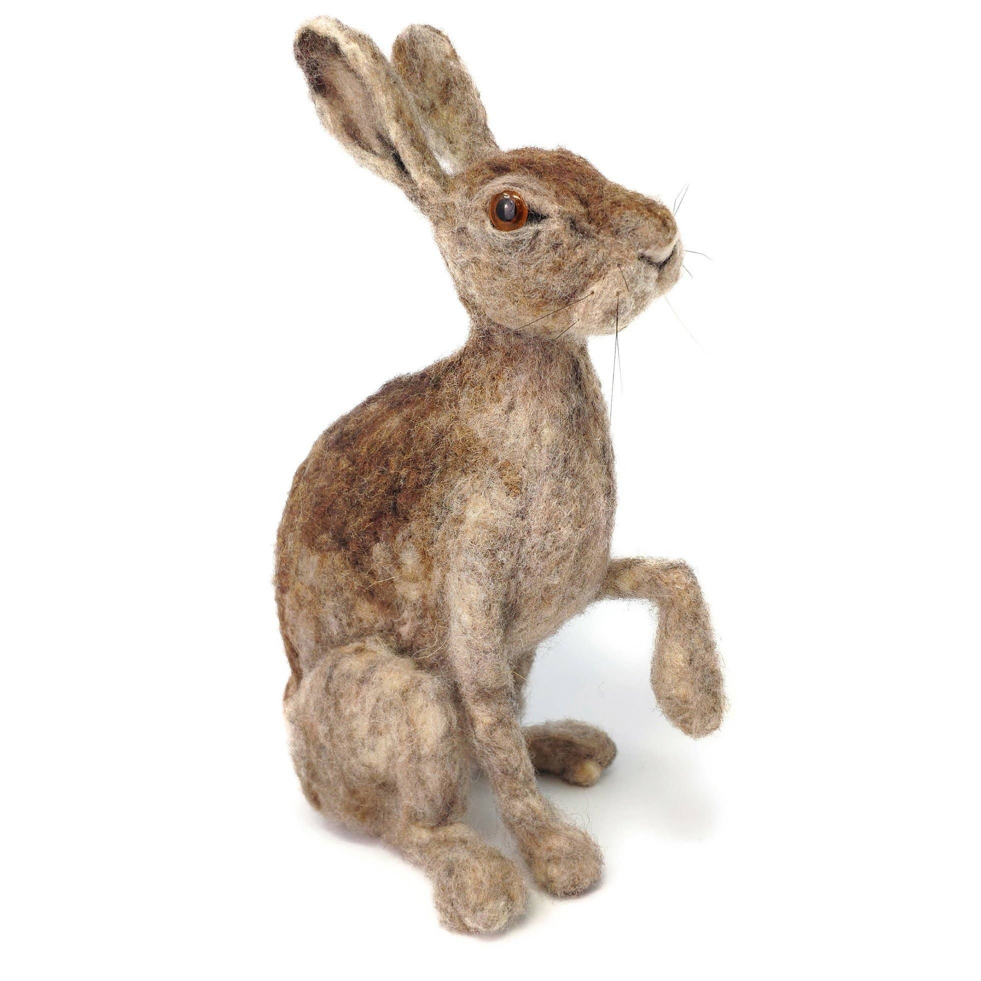 Wild Scottish Hare Needle Felting Craft Kit (10yrs-adult)