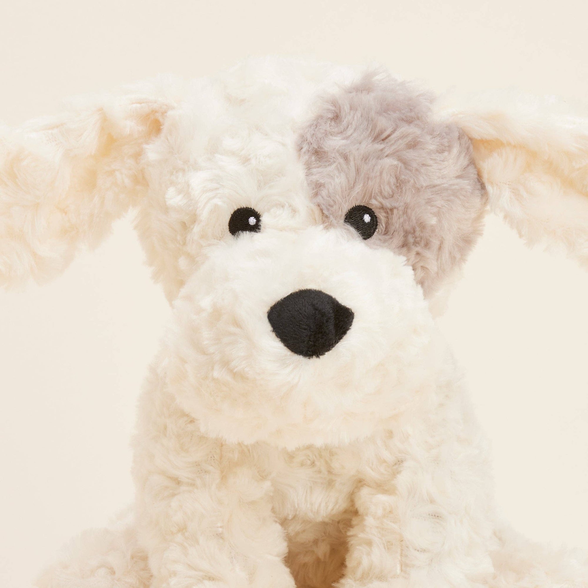 Close-up of a plush dog toy with a neutral background