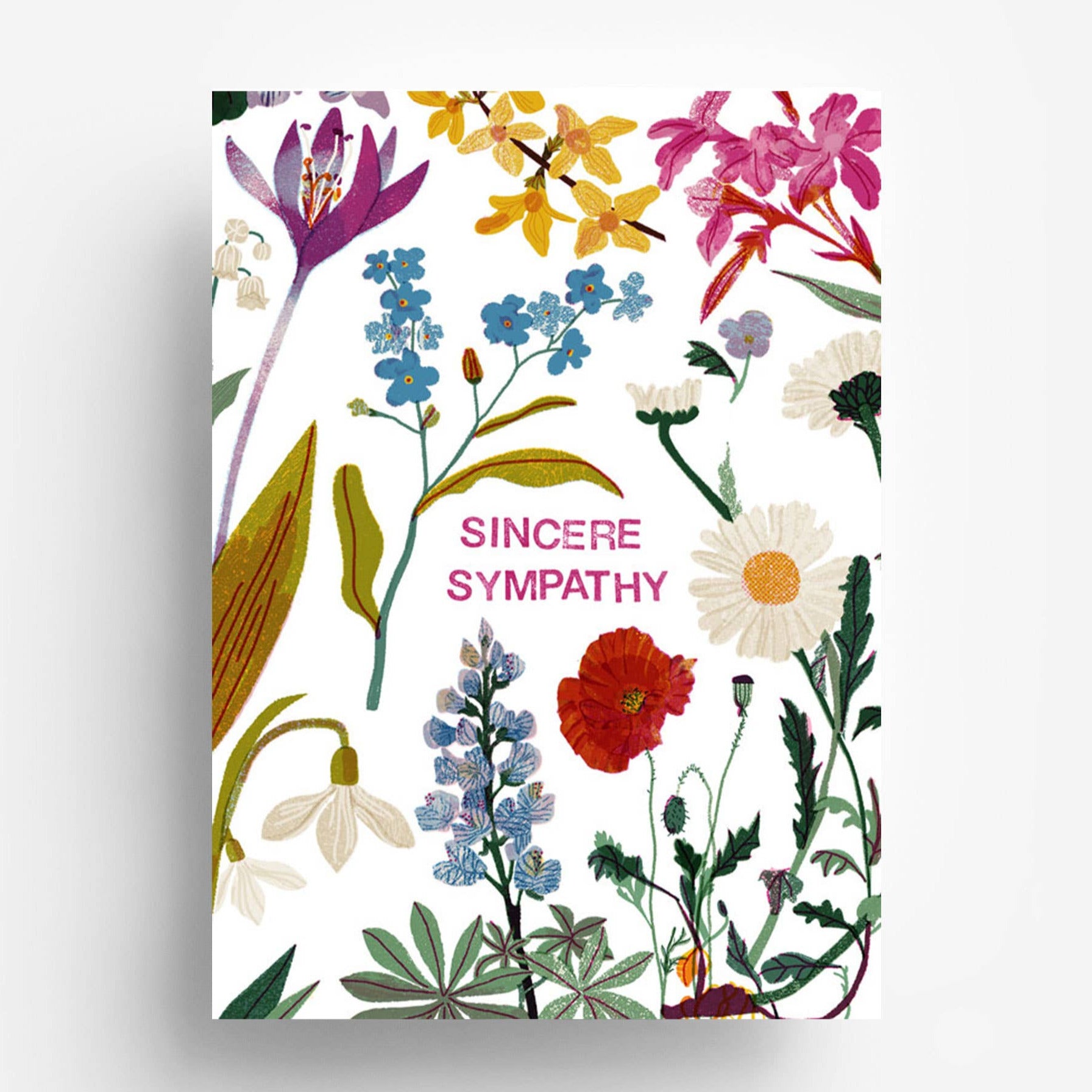 Sincere Sympathy Postcard -Barbara Dziadosz