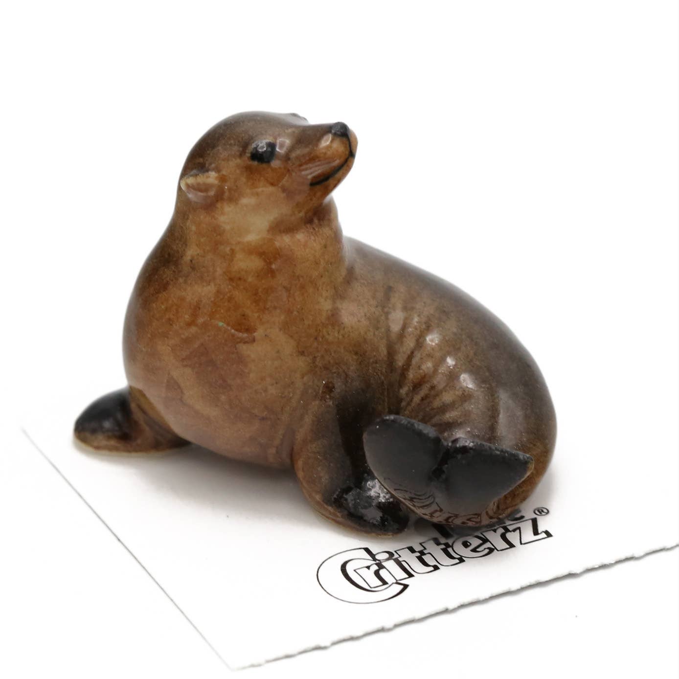 Model of a seal on a white background with 'Glitterz' branding.