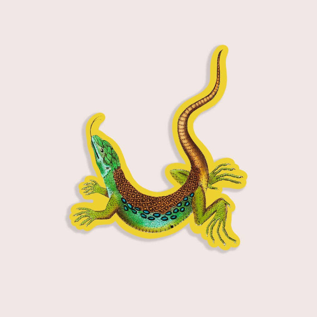 Colorful lizard patch on a light pink background