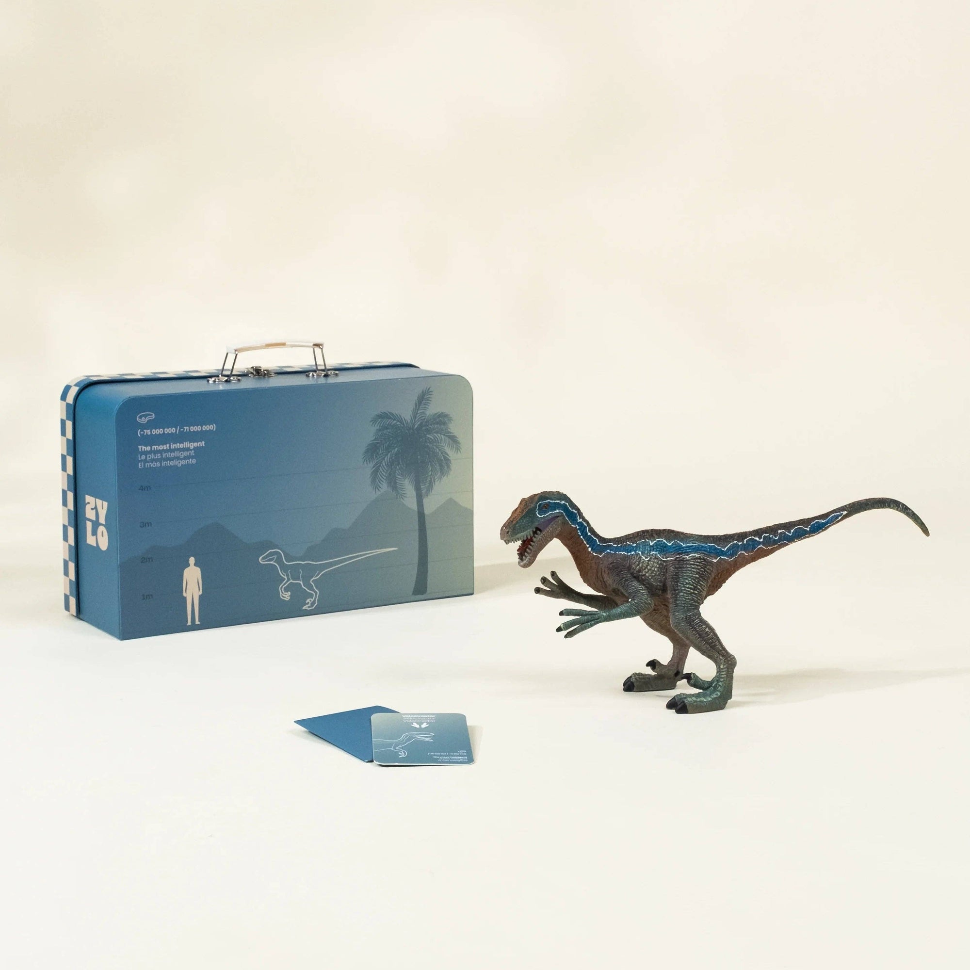 Velociraptor Dinosaur in a Collectible Box