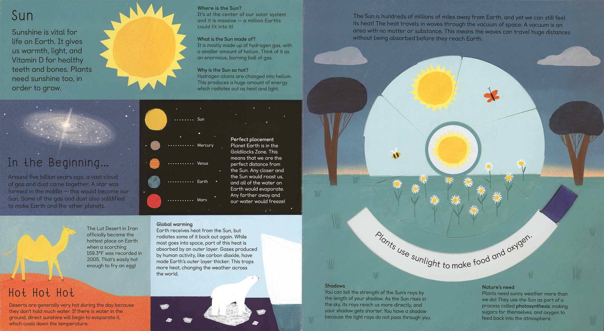 Educational illustration about the sun and its impact on Earth, including plants and animals.