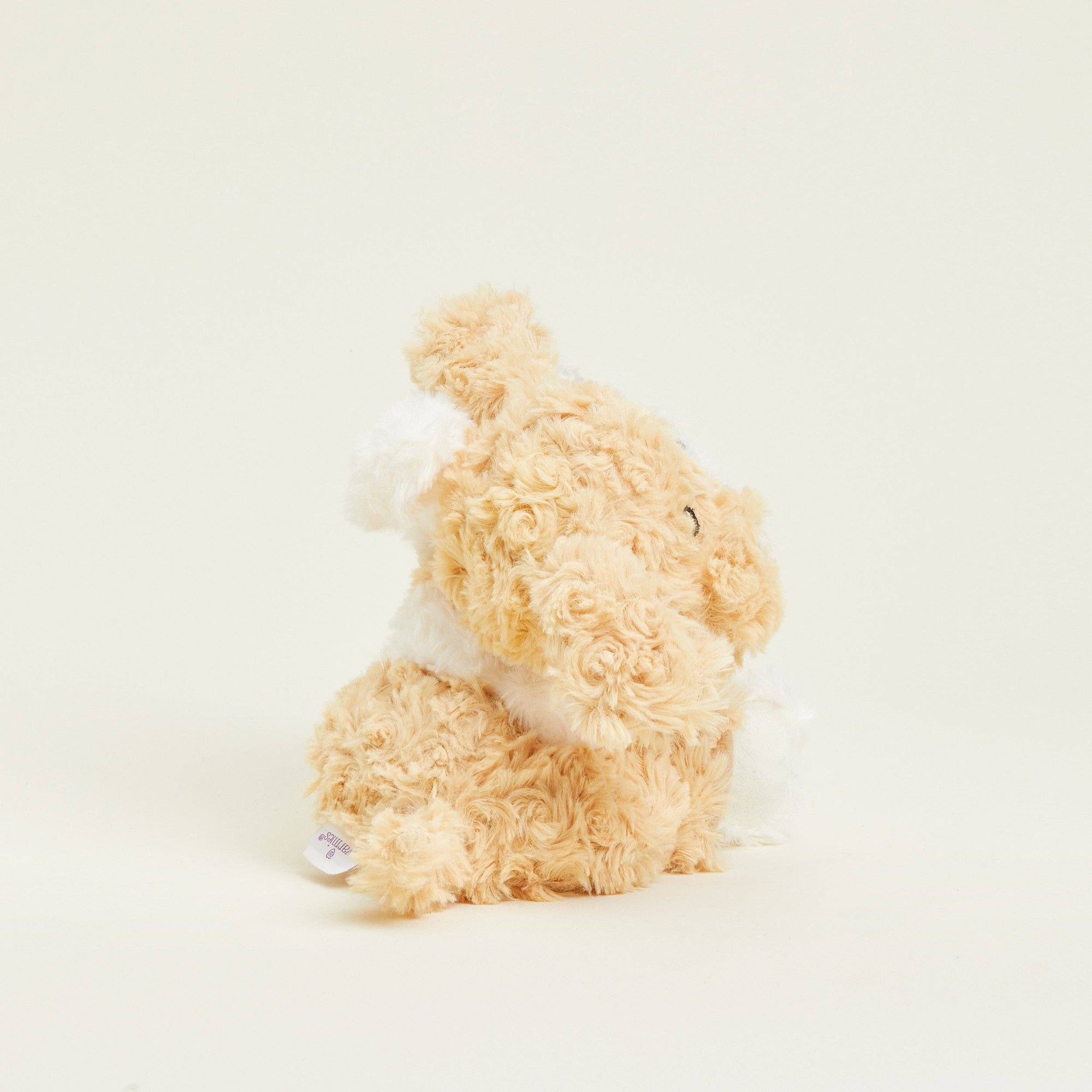 Plush teddy bear on a light beige background