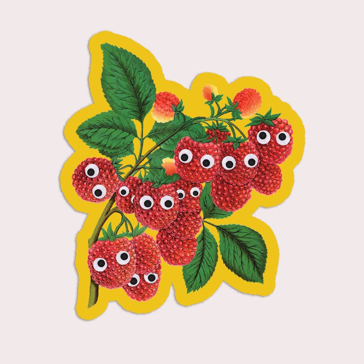 Googly Raspberries Vinyl Sticker