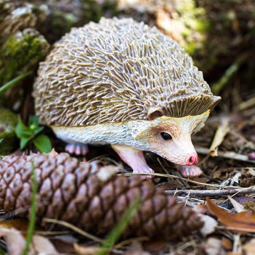 Hedgehog among pine cones and leaves on the forest floor