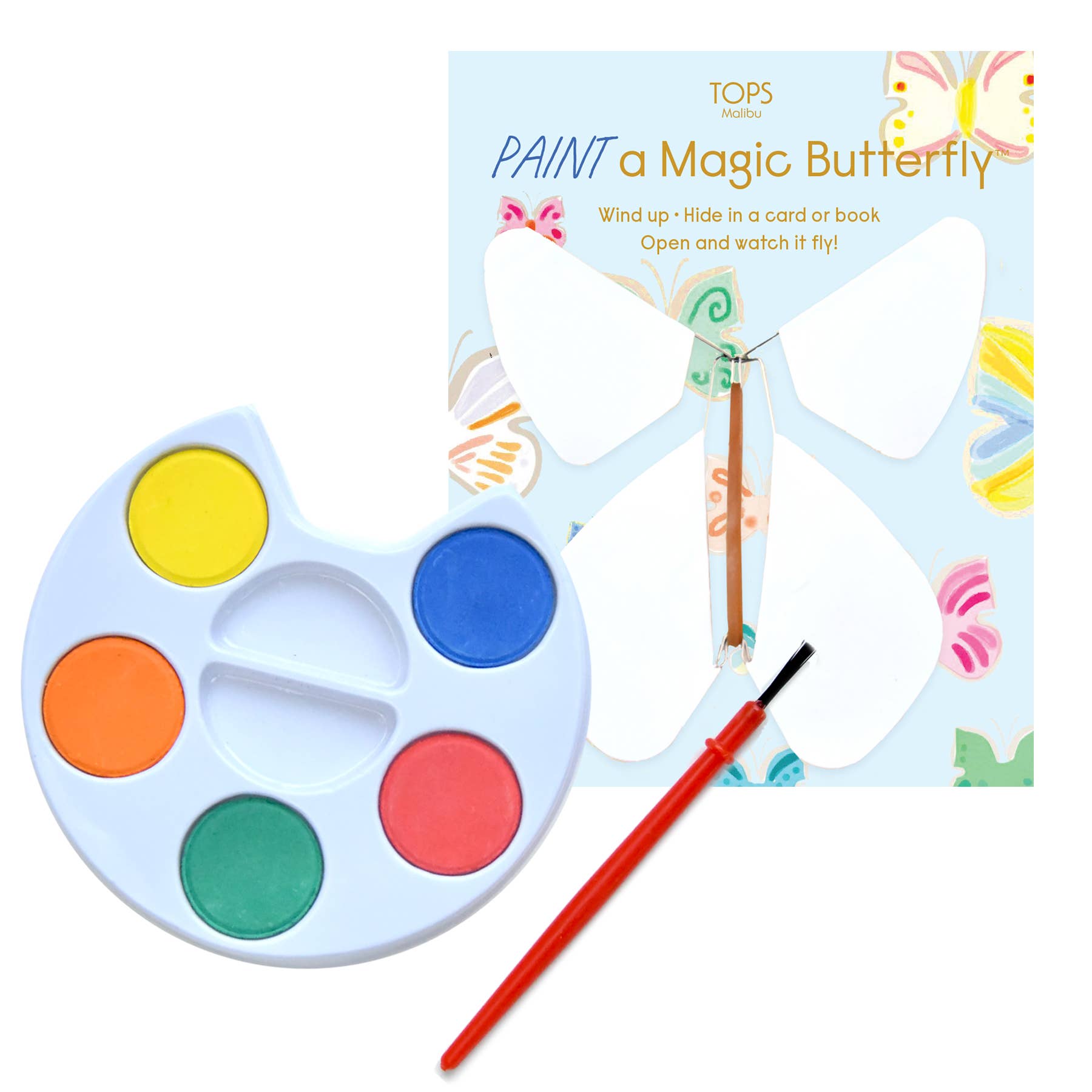 Flying Magic Butterfly with Paint Set