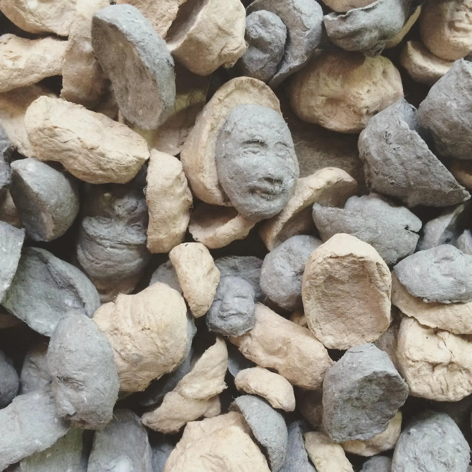 Close-up of pebbles with a face carved into one of them