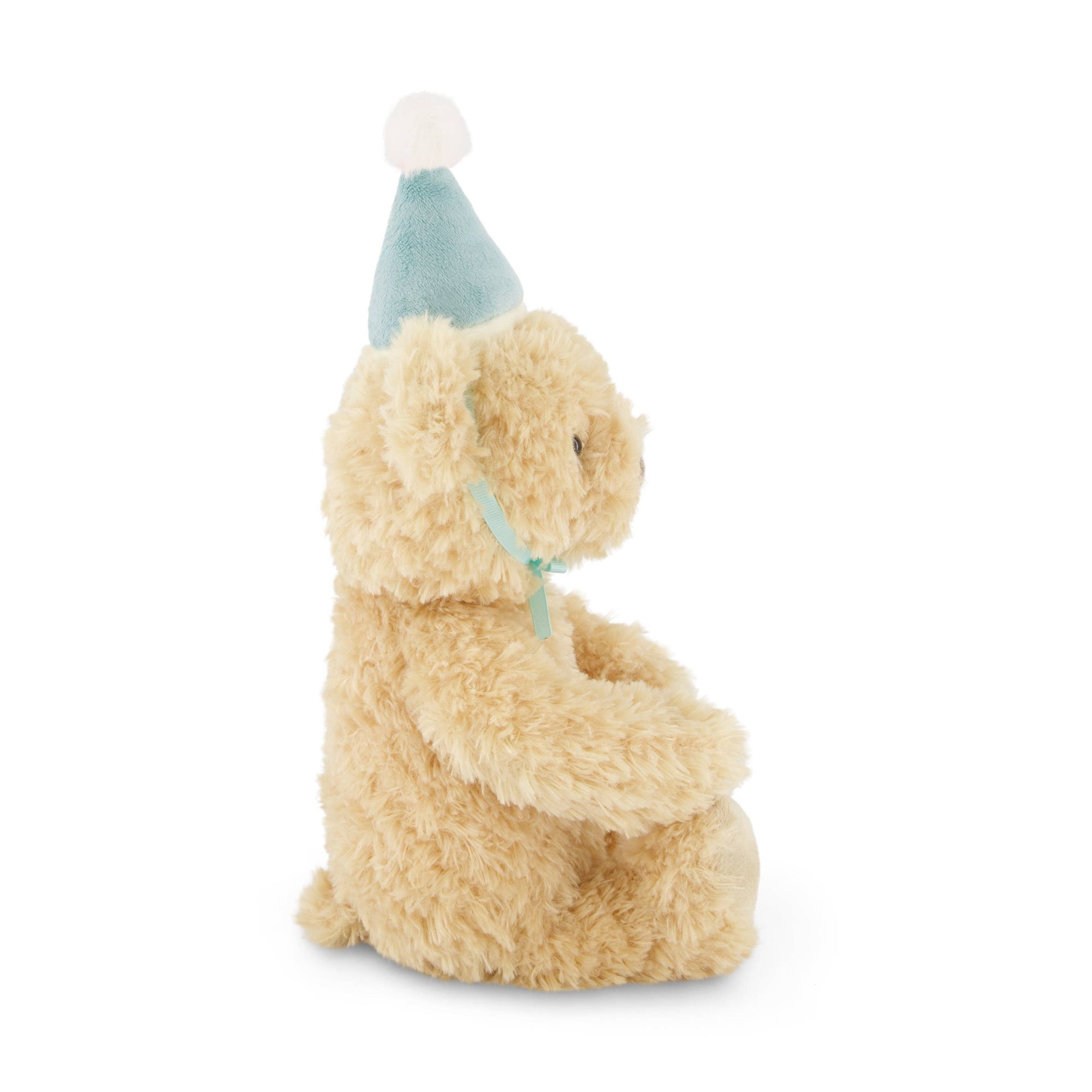 Plush bear with a party hat on a white background