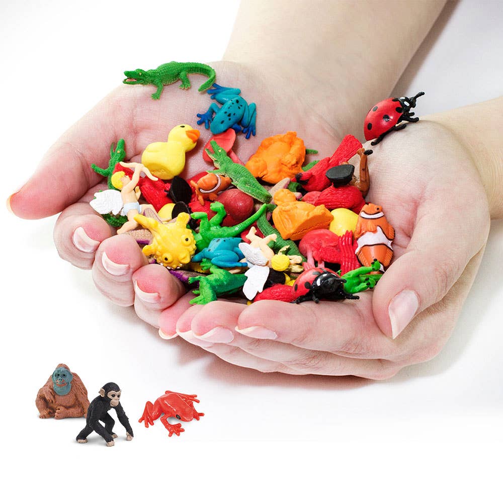 Good Luck Mini Rainforest Fun Pack