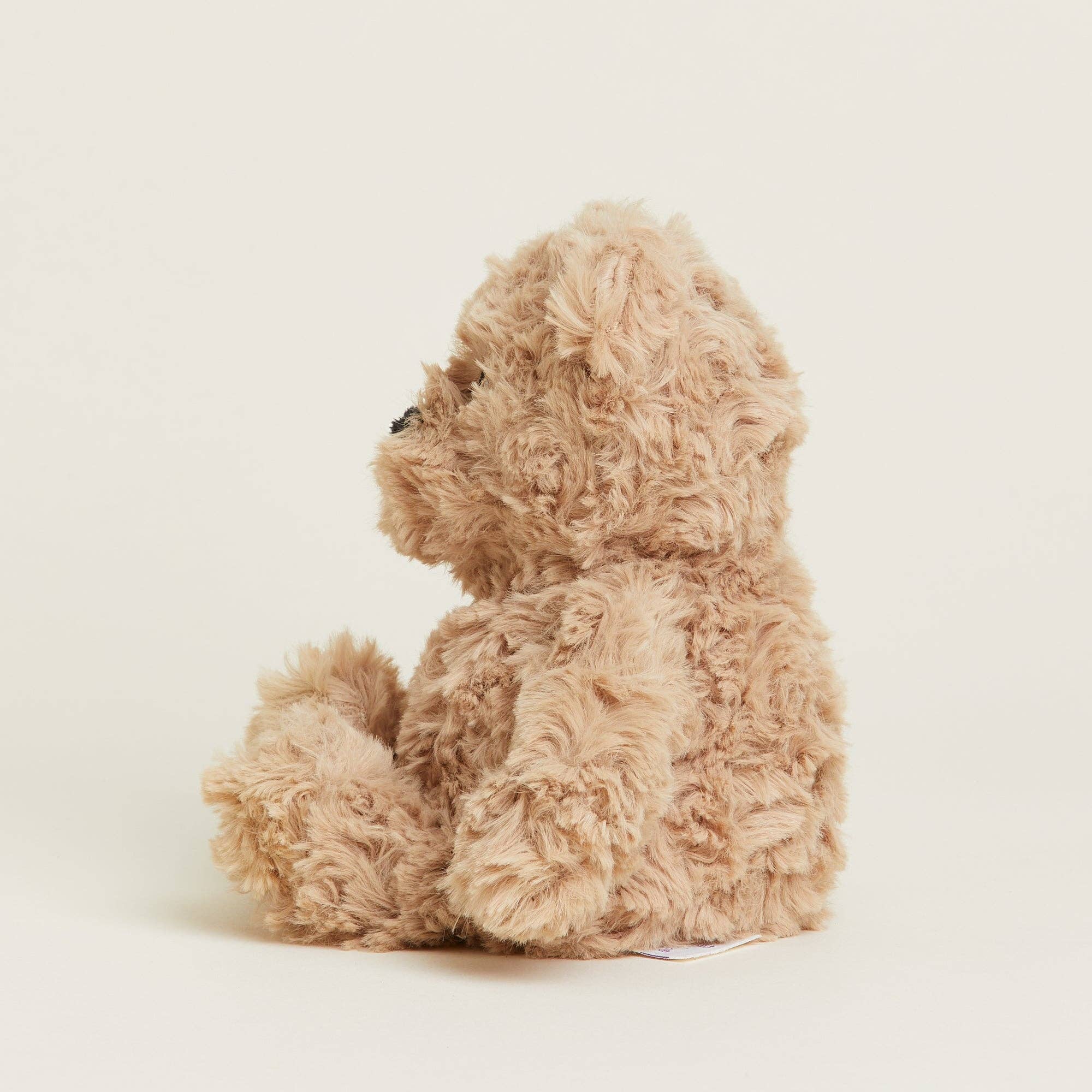 Fluffy beige teddy bear on a white background