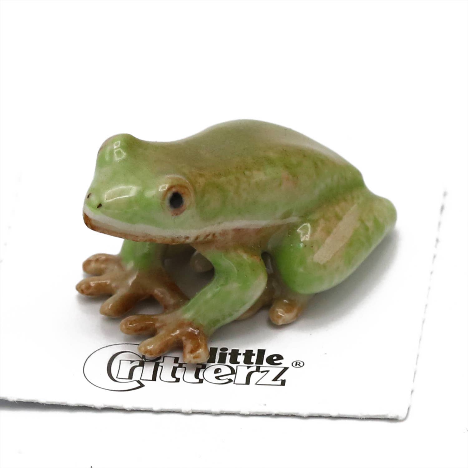 Green frog figurine on a white background with 'Little Critterz' branding.