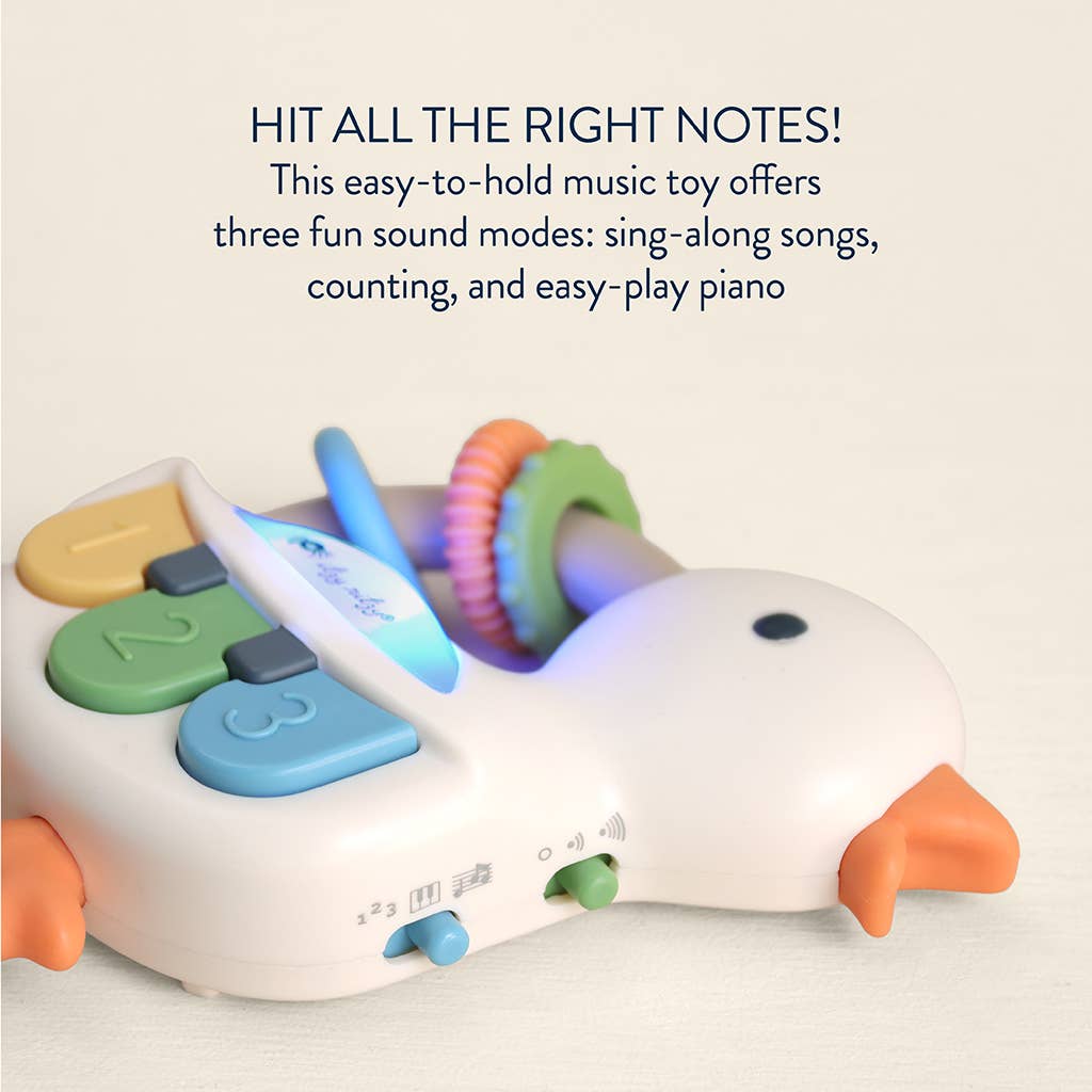 Colorful music toy shaped like a duck with text describing its features on a light background