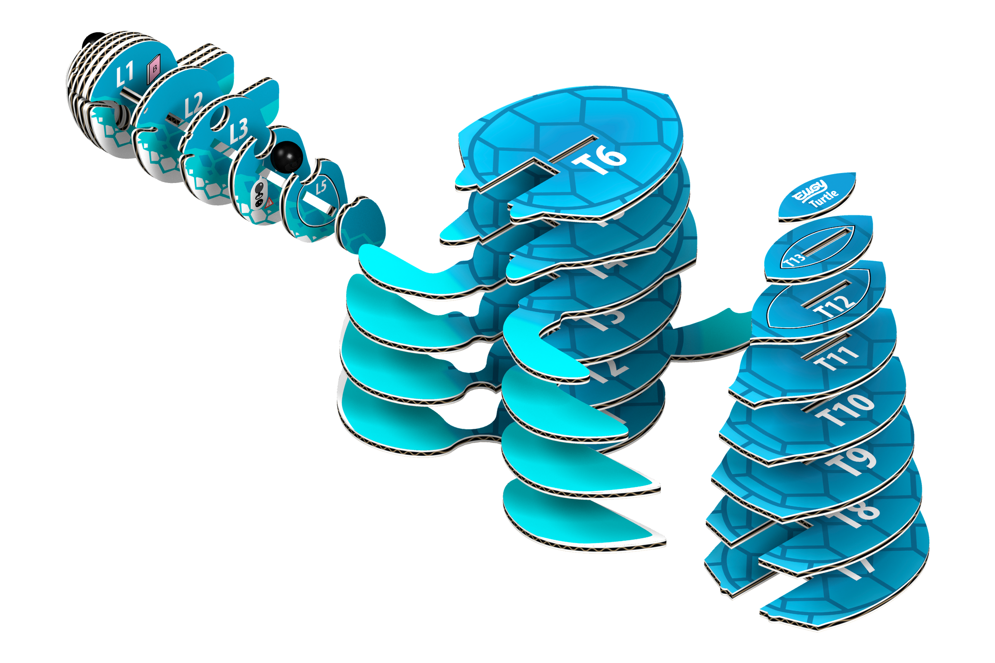 Turtle 3D Puzzle