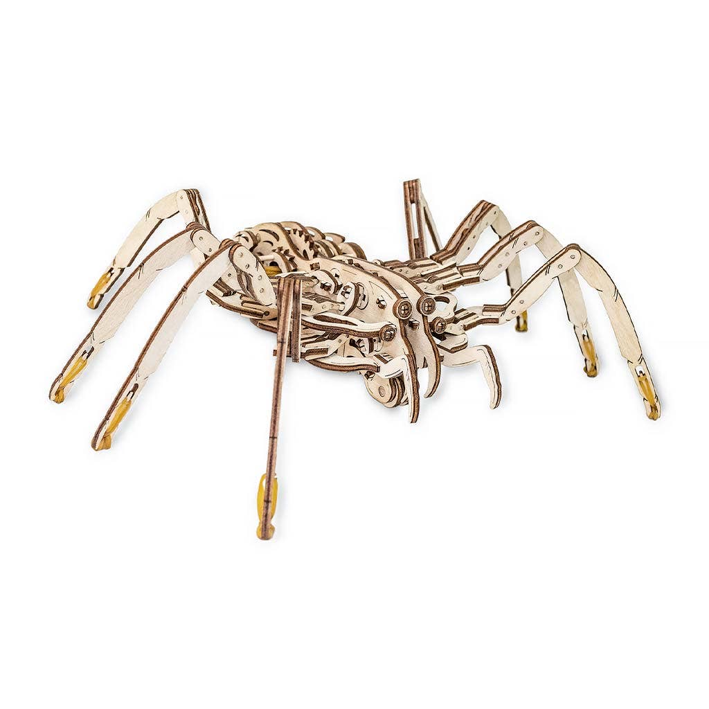 Wooden spider model puzzle on a white background