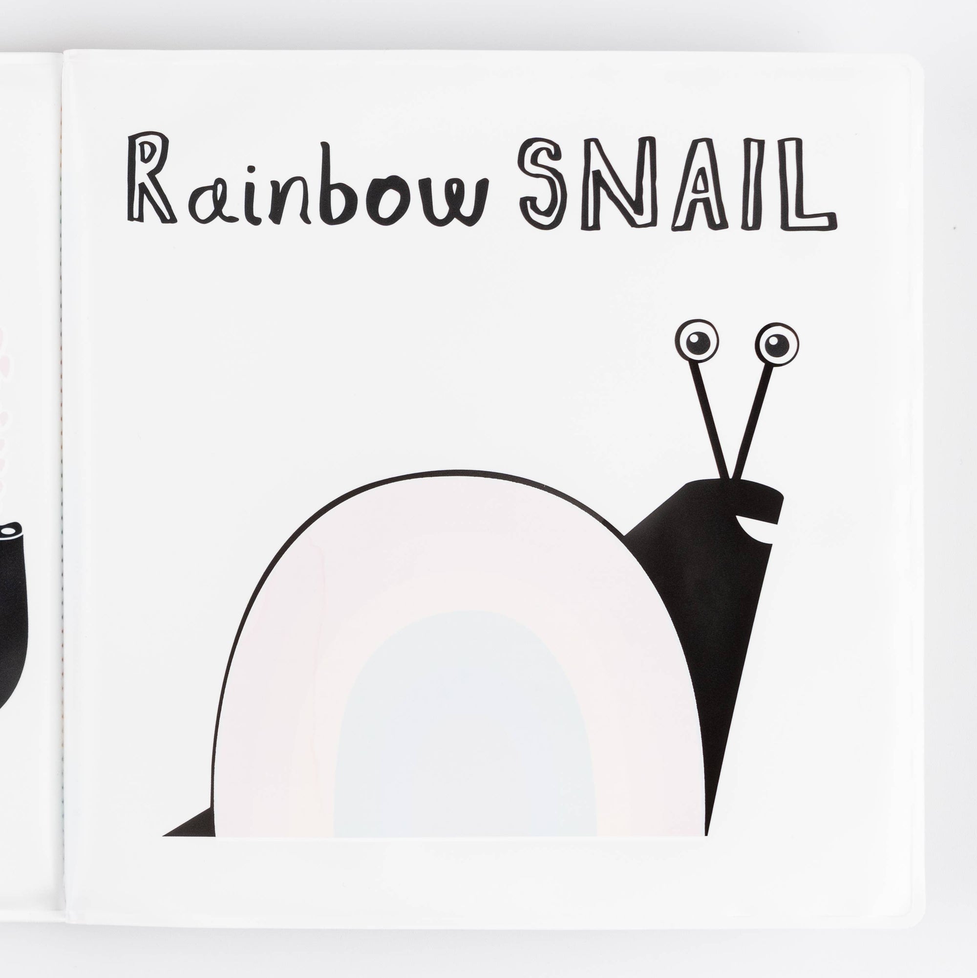 The Rainbow Snail & Friends: Bath Book