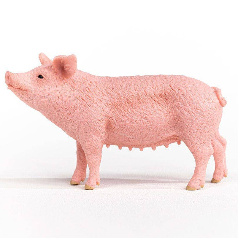 Pink pig figurine on a white background