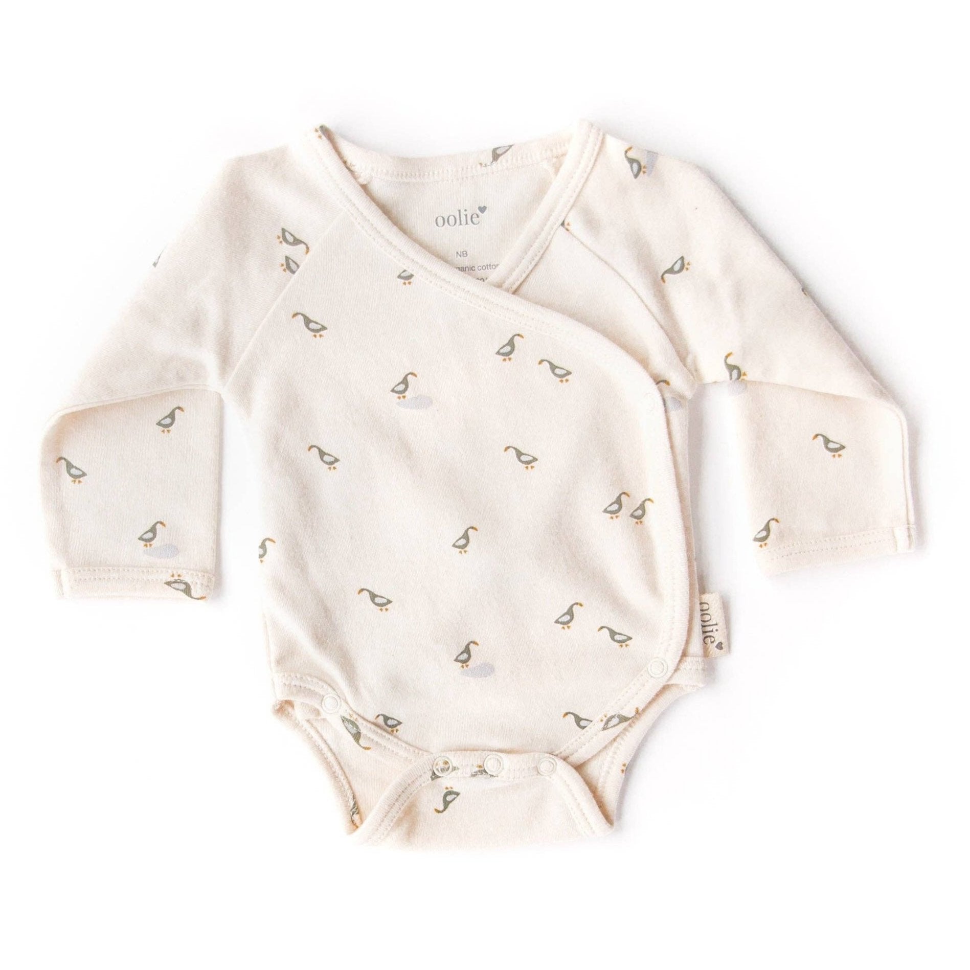 Organic Baby Bodysuit: Runner Ducks