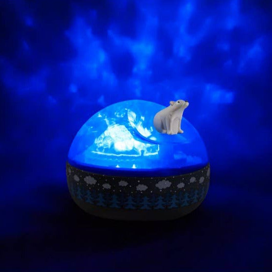 Musical Projector - Bear on the Ice Floe