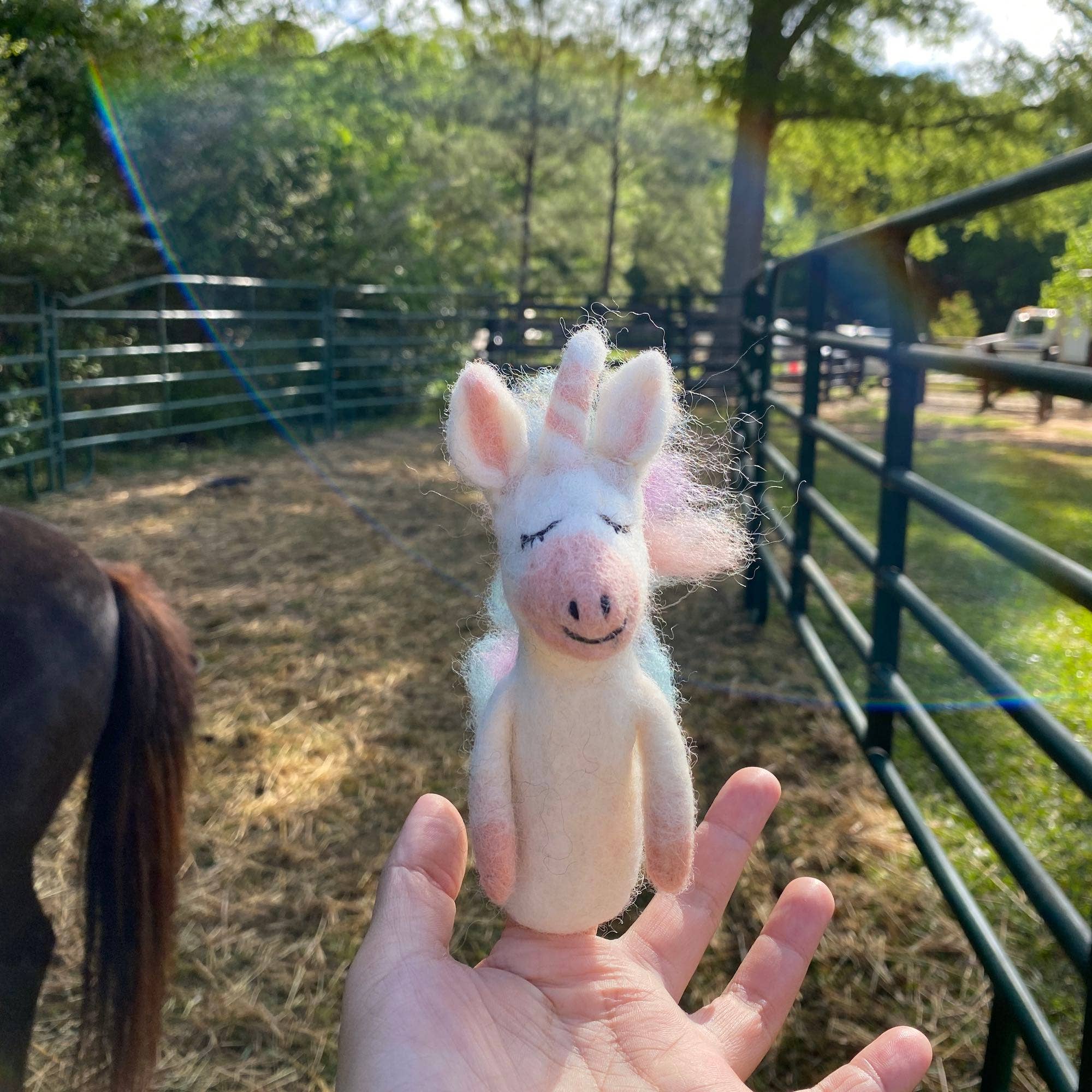 Hand holding a small unicorn plush toy with a rural background