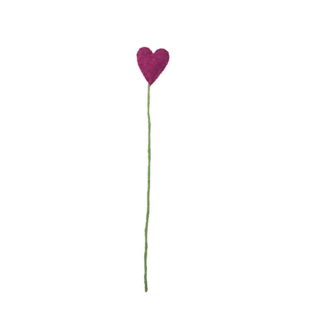 Heart-shaped flower on a white background