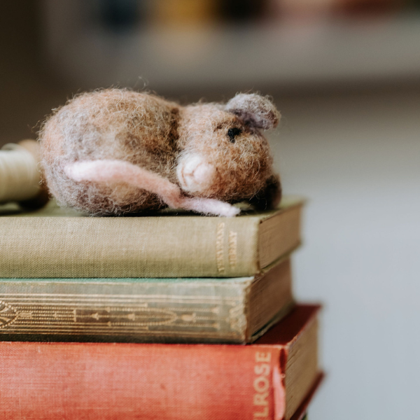 Sleepy Mice Needle Felting Craft Kit