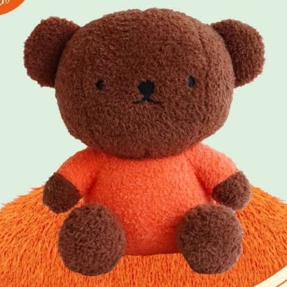 Plush toy bear with a red shirt on a light green background