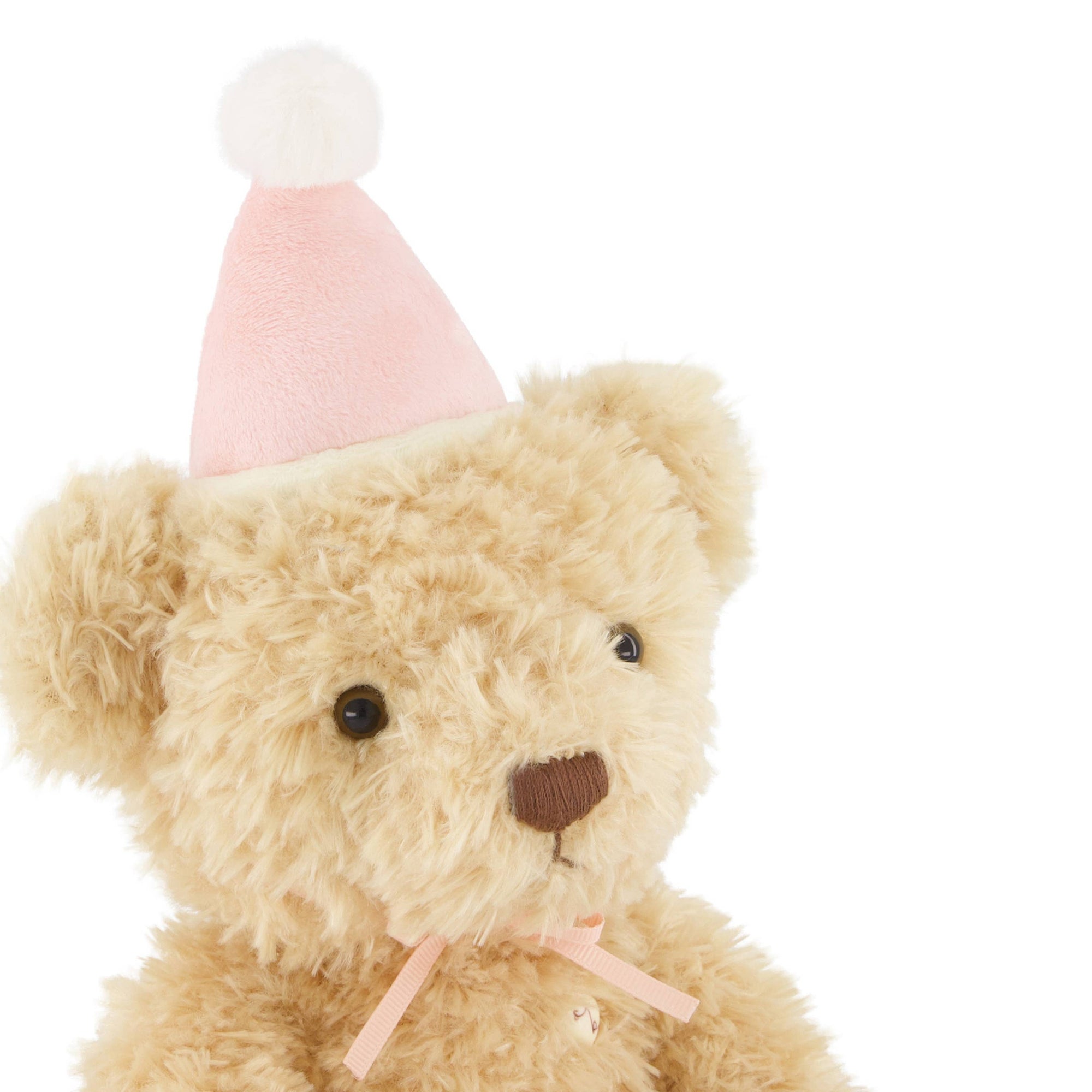 Teddy bear wearing a pink party hat on a white background