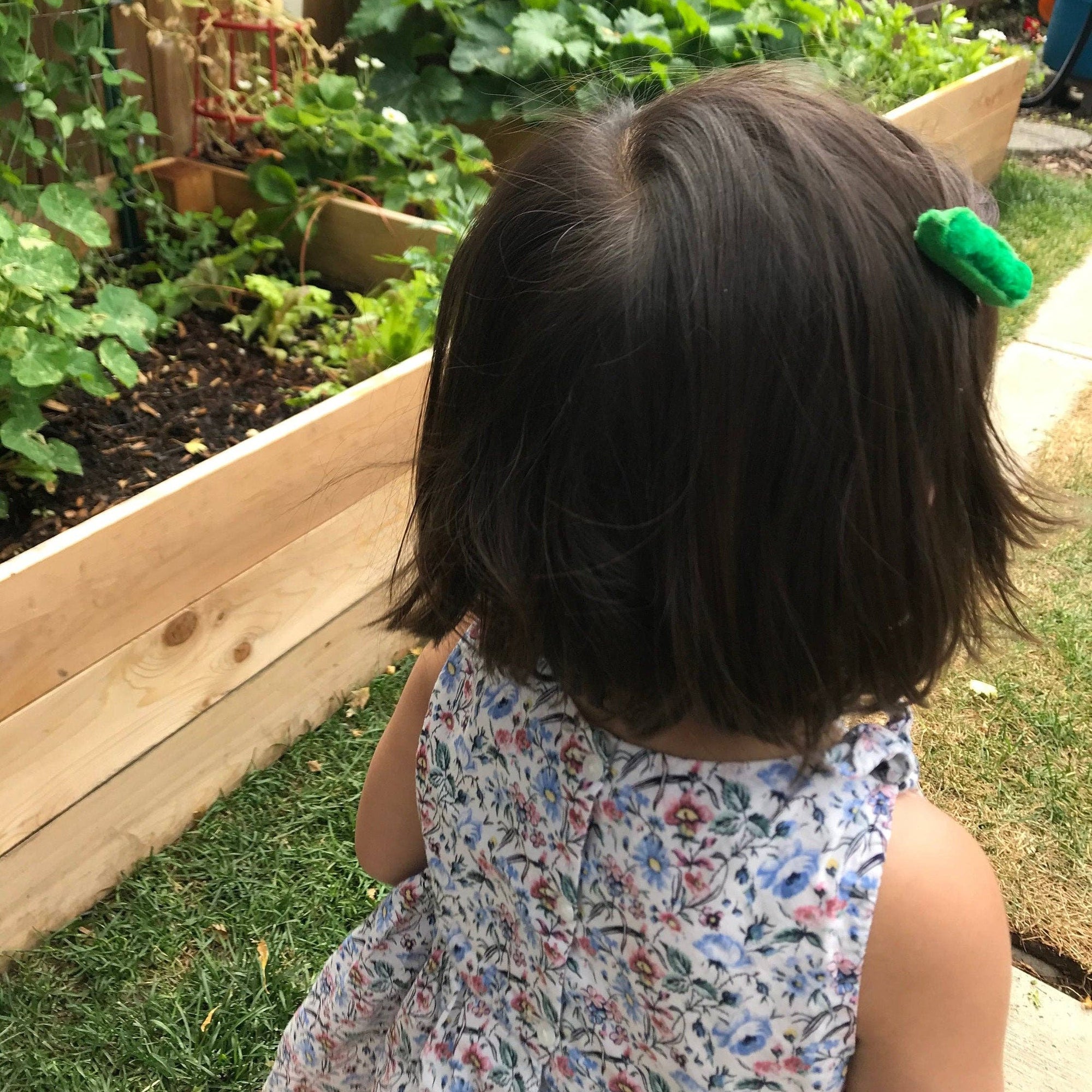 Sweet Pea Pod Green Hair Clip