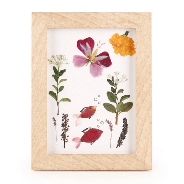 art frame with pressed flowers and drawings of fish