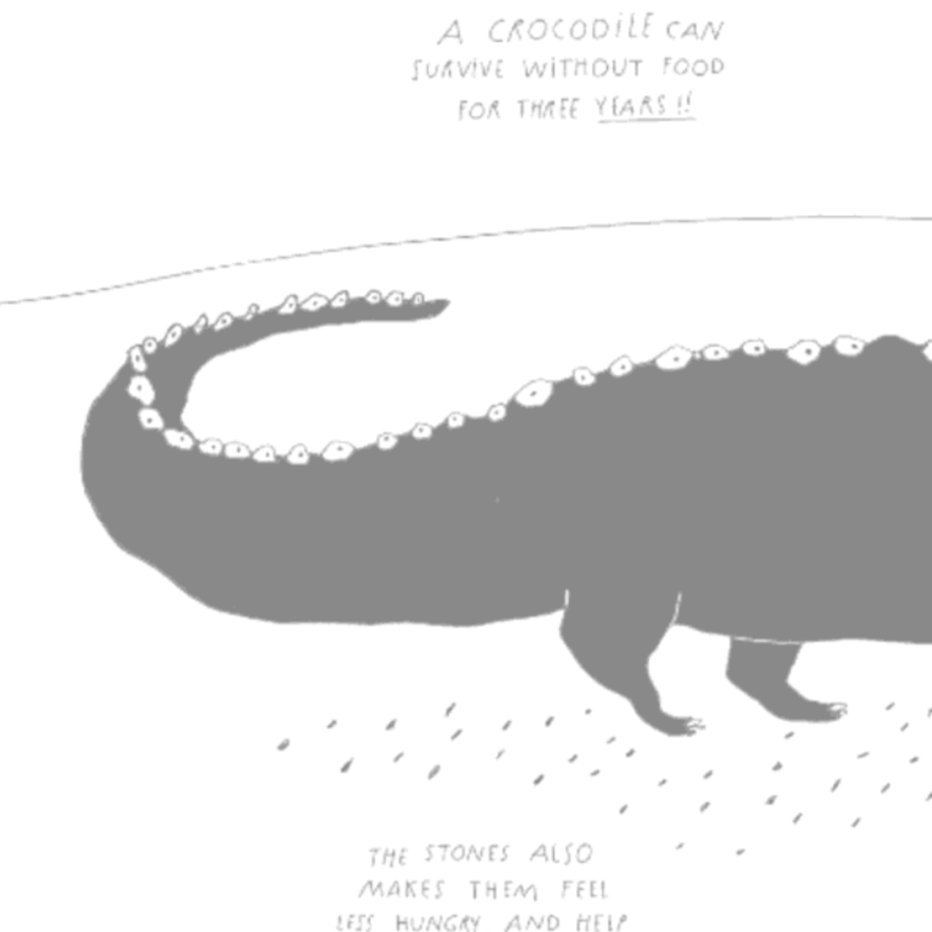 The Illustrated Compendium of Amazing Animal Facts (5-12yrs)