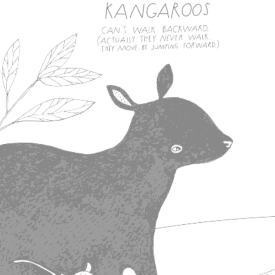 The Illustrated Compendium of Amazing Animal Facts (5-12yrs)