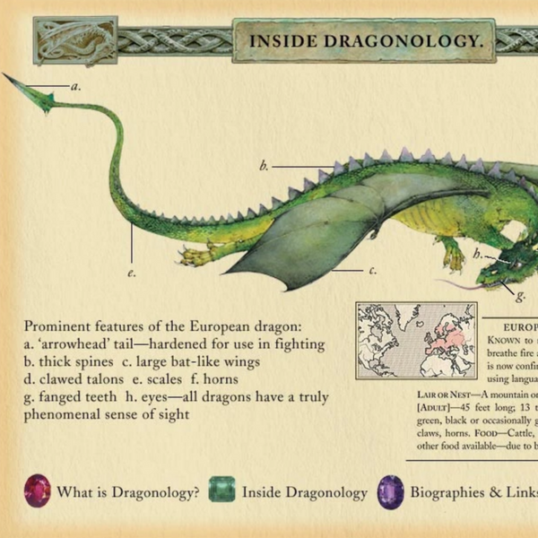 Dragonology (8-12yrs)