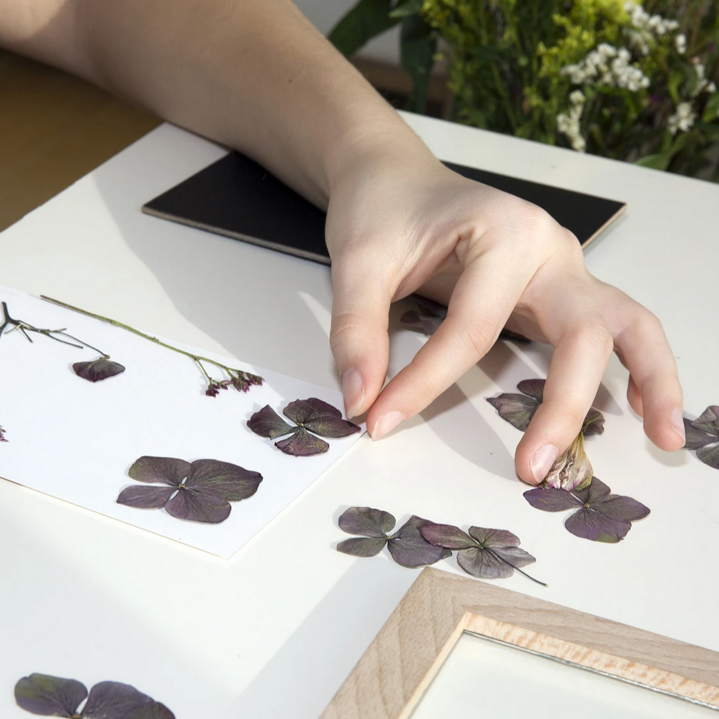 hand placing leaves onto paper