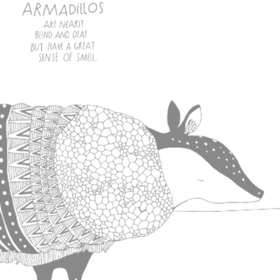 The Illustrated Compendium of Amazing Animal Facts (5-12yrs)