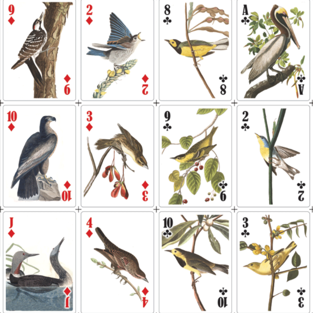 3-D Bird Playing Cards