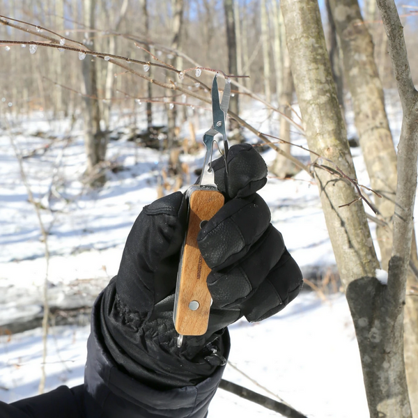 gloved hand cutting twigs with scissors