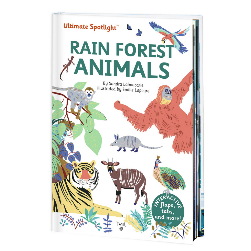 Rain Forest Animals -Ultimate Spotlight( 5-6yrs)
