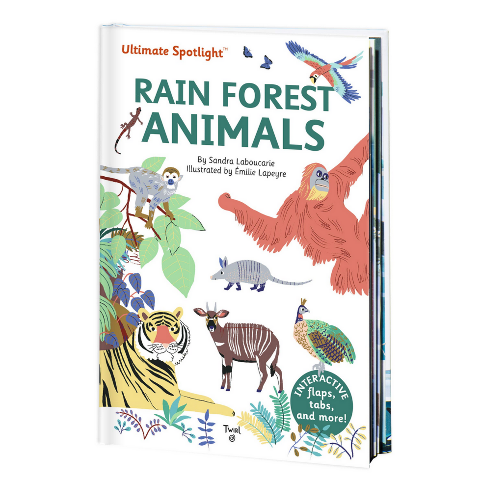 Rain Forest Animals -Ultimate Spotlight