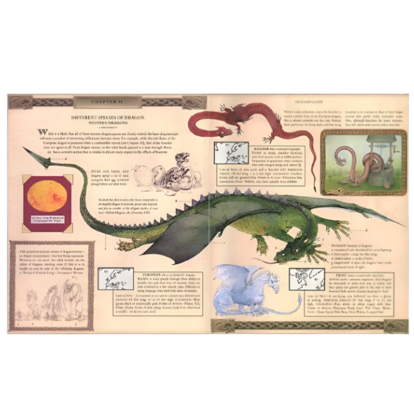 Dragonology (8-12yrs)